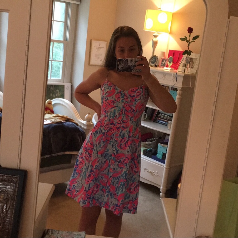 Lilly Pulitzer Erika Dress